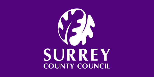 Surrey County Council Apprenticeships and Early Careers - Youth ...